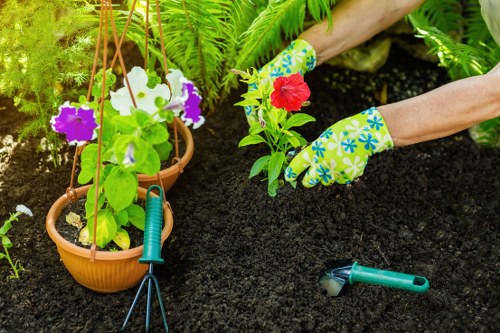 Company gardener assessing a garden site