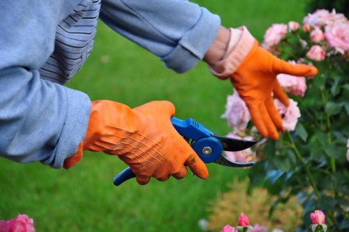 Insured gardeners conducting a risk assessment in a back garden
