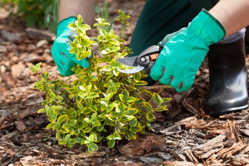 Final touches on a garden by Gardeners Kentish Town
