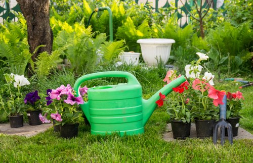 Pruning and trimming plants in a Kentish Town garden