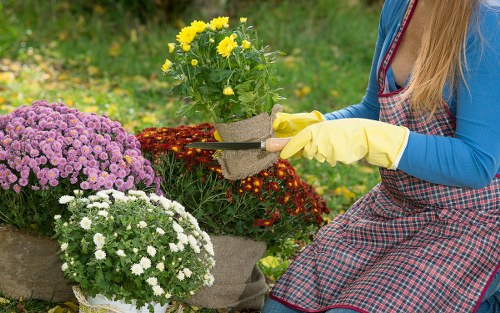 Close-up of hands planting seedlings representing responsible sourcing
