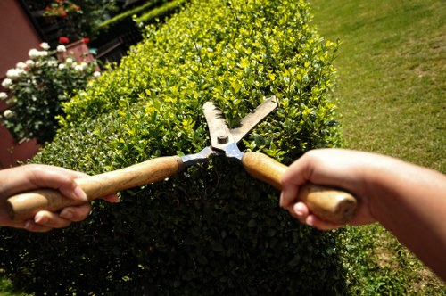 Professional hedge trimming enhancing curb appeal