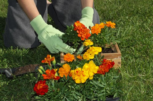 Volunteers and charity partners receiving usable garden items