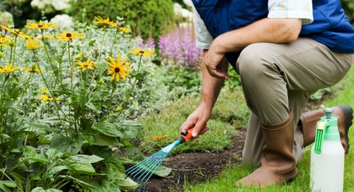 Sustainable landscaping practices in Kentish Town