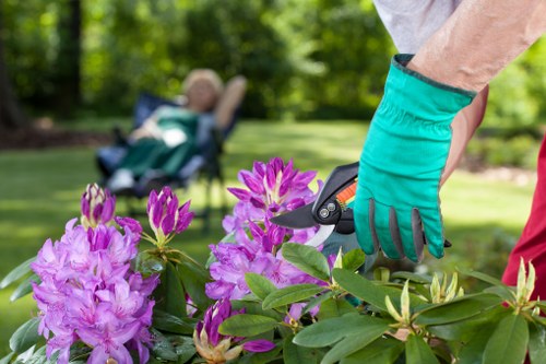 Volunteer gardener describing plants to a customer, demonstrating inclusive communication