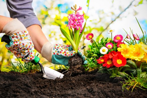 Cost-effective garden clearance services for Kentish Town gardens