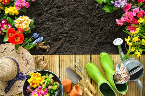 Planning landscape garden layout