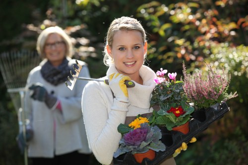 Seasonal lawn care preparation in spring